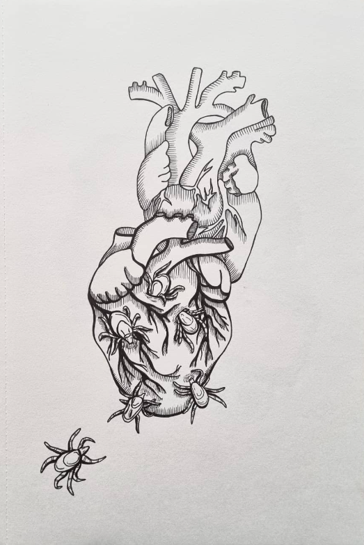 Screenshot 2025-12-29 205335.png