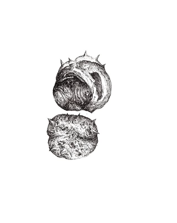 Screenshot 2025-12-29 214156.png