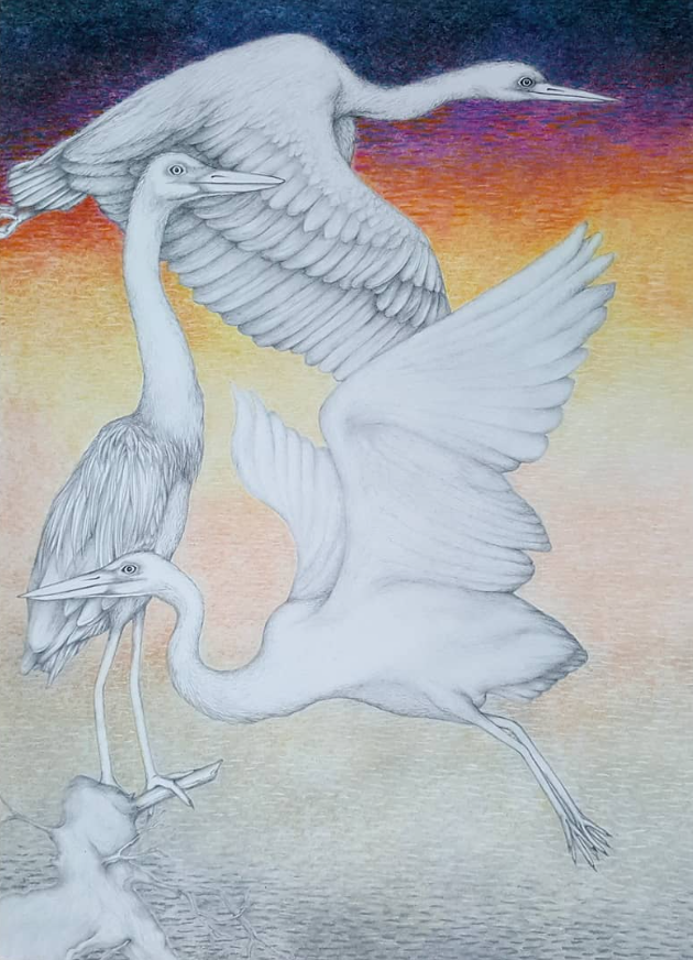 Screenshot 2025-12-29 210414.png