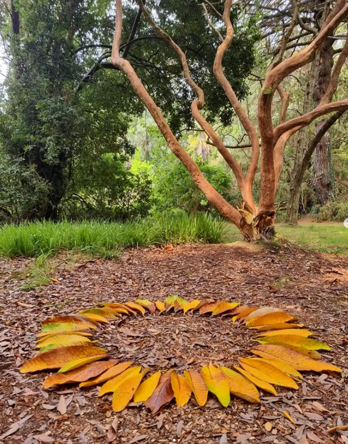 Screenshot 2025-12-29 220200.png