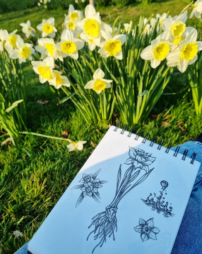 Screenshot 2025-12-29 215726.png