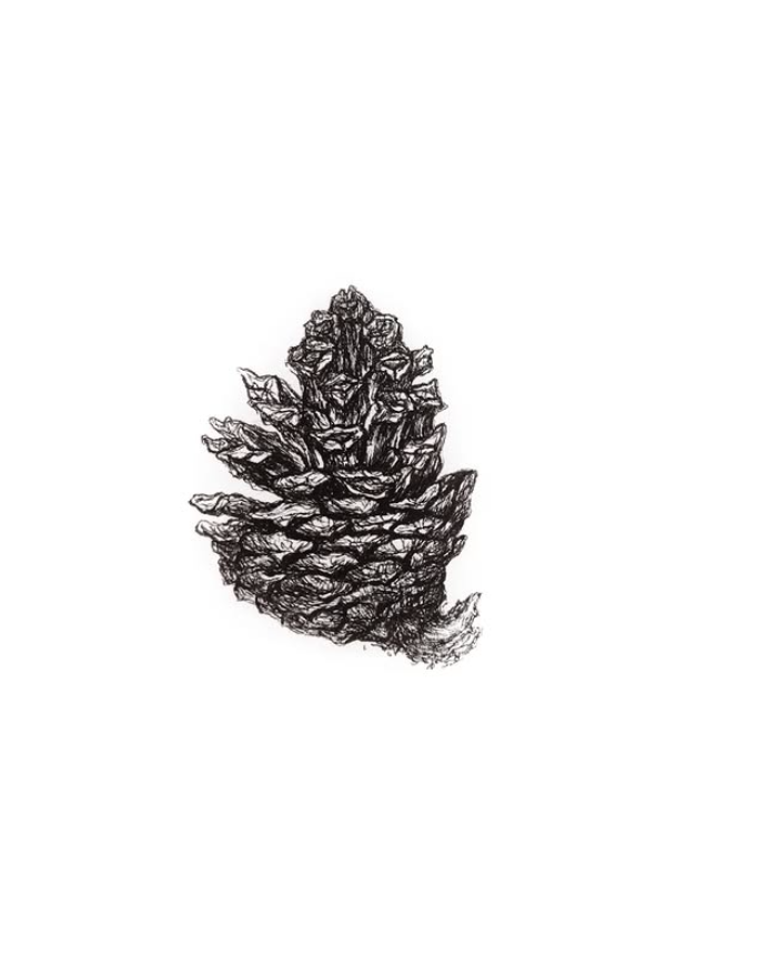 Screenshot 2025-12-29 214130.png