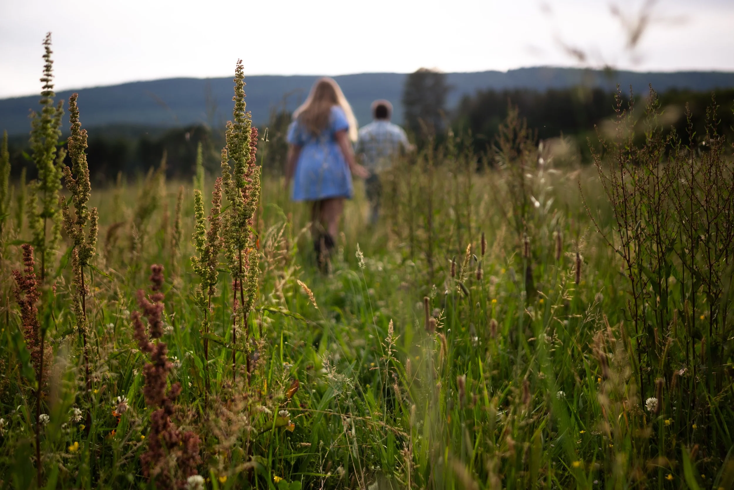 SW2_0566.jpg