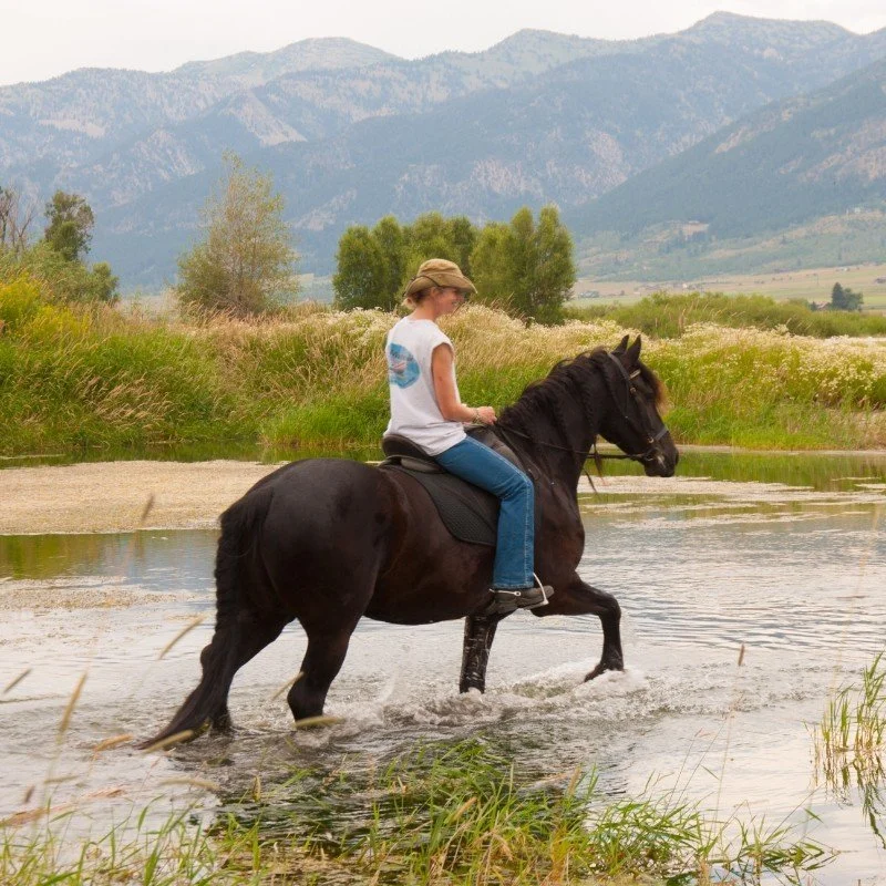 Valerie Meinen - Phase Selling Testimonial.jpg