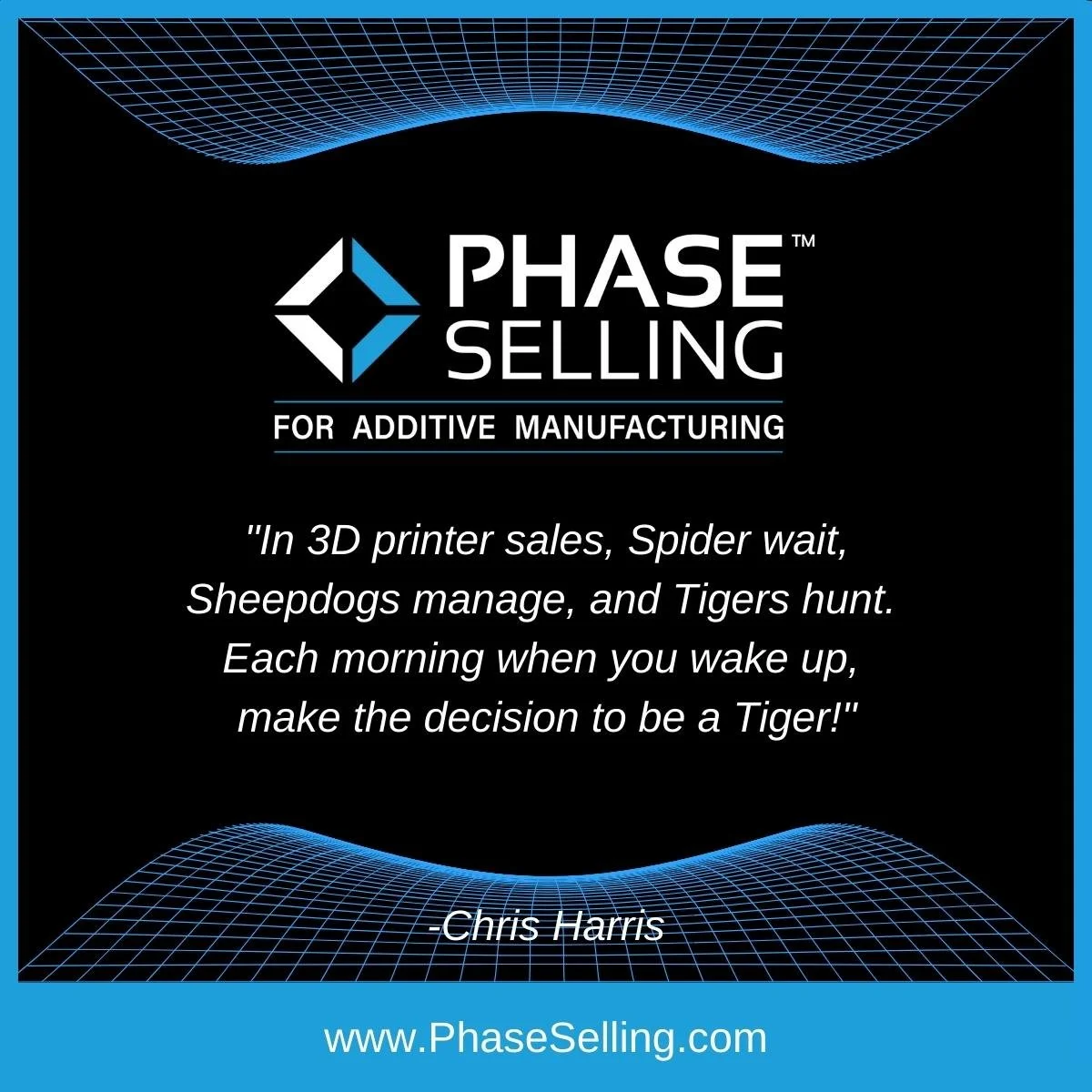 2 - Phase Selling Sales Insights - Be A Tiger.jpg