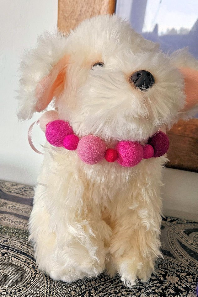 Pompom Necklace on Dog.jpg