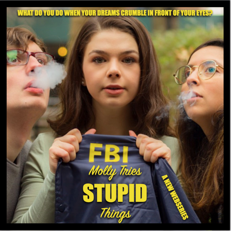 Molly Tries Stupid Things- A New Wesberies