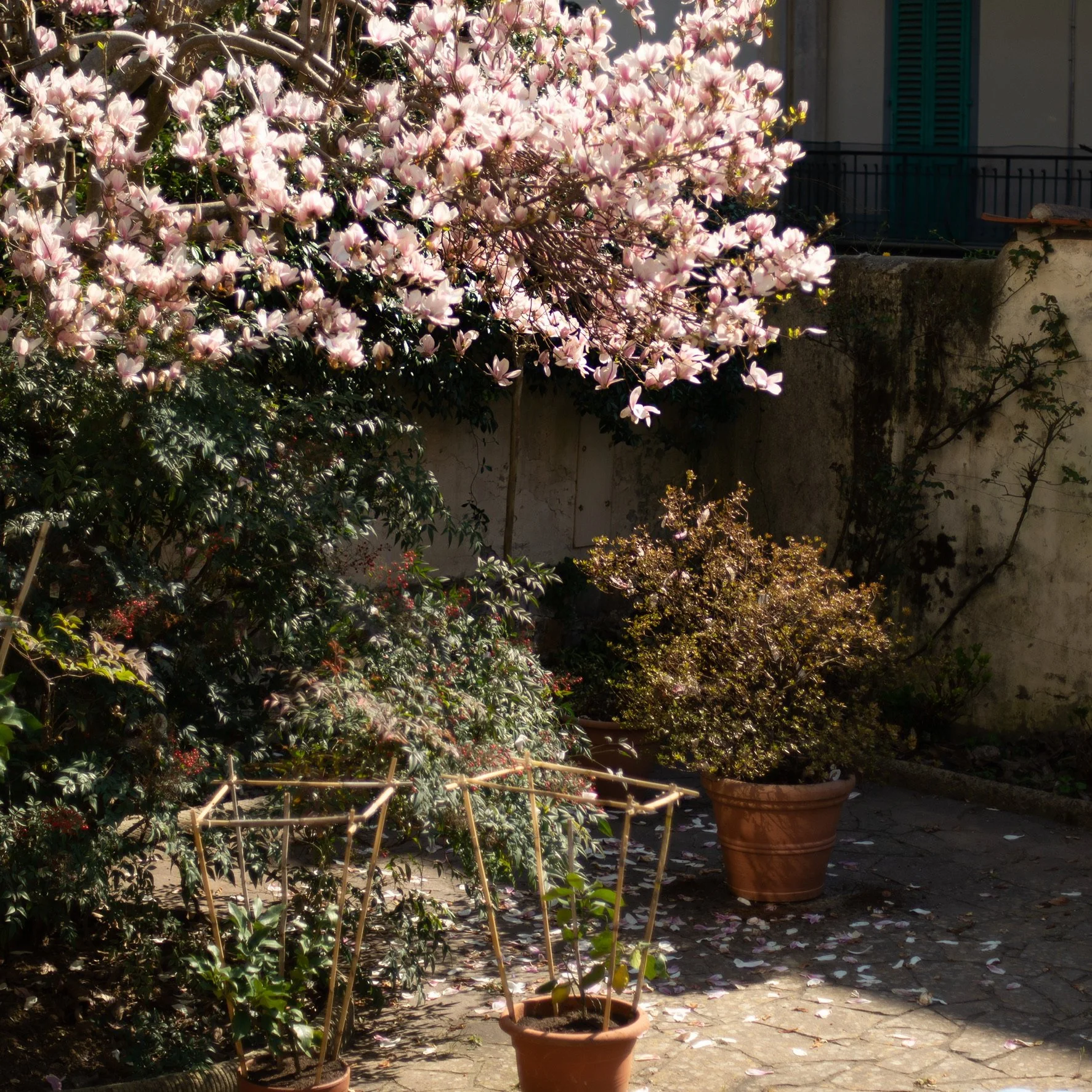 Springtime in Florence
