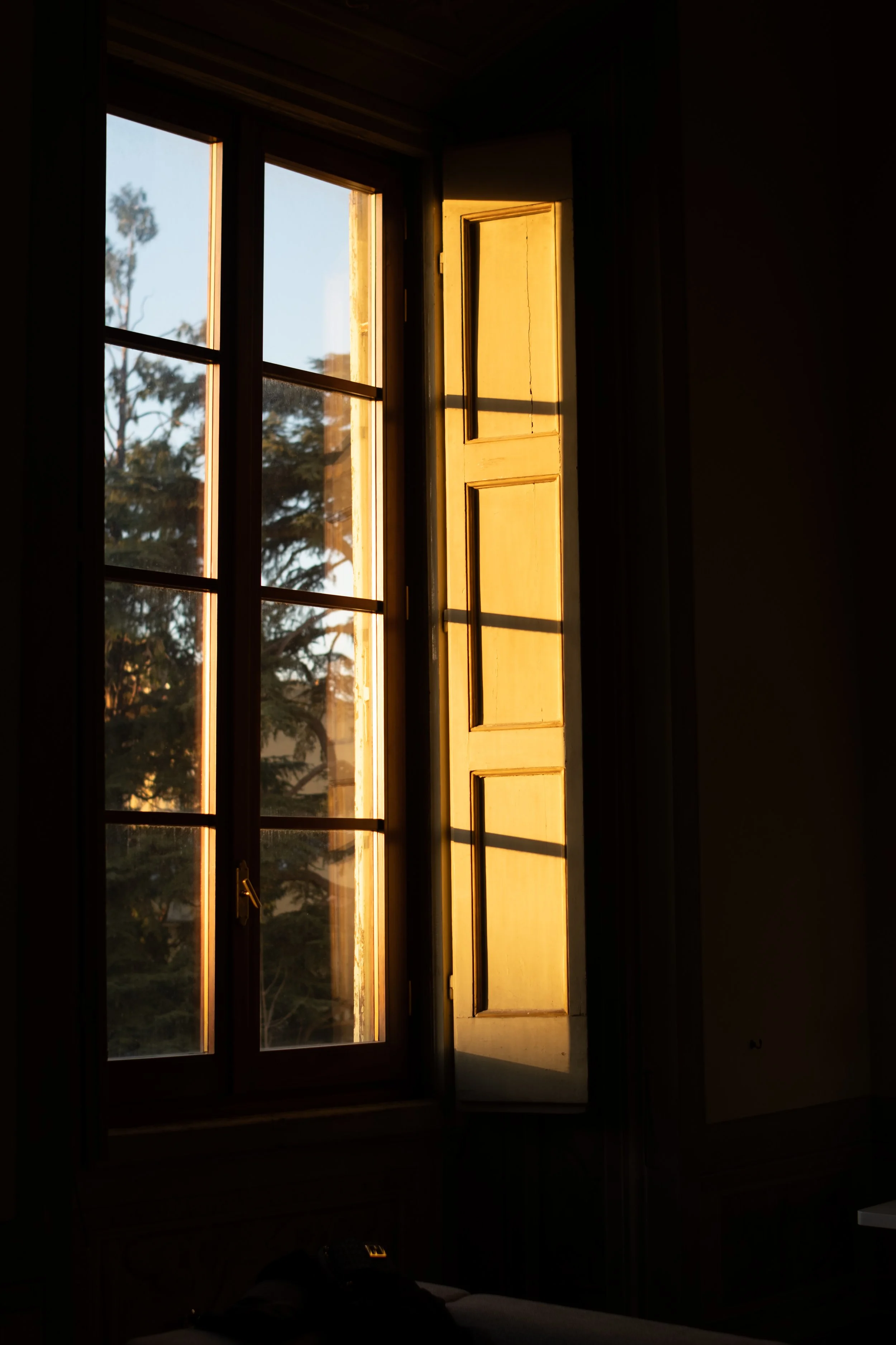 DSCF4216.jpg