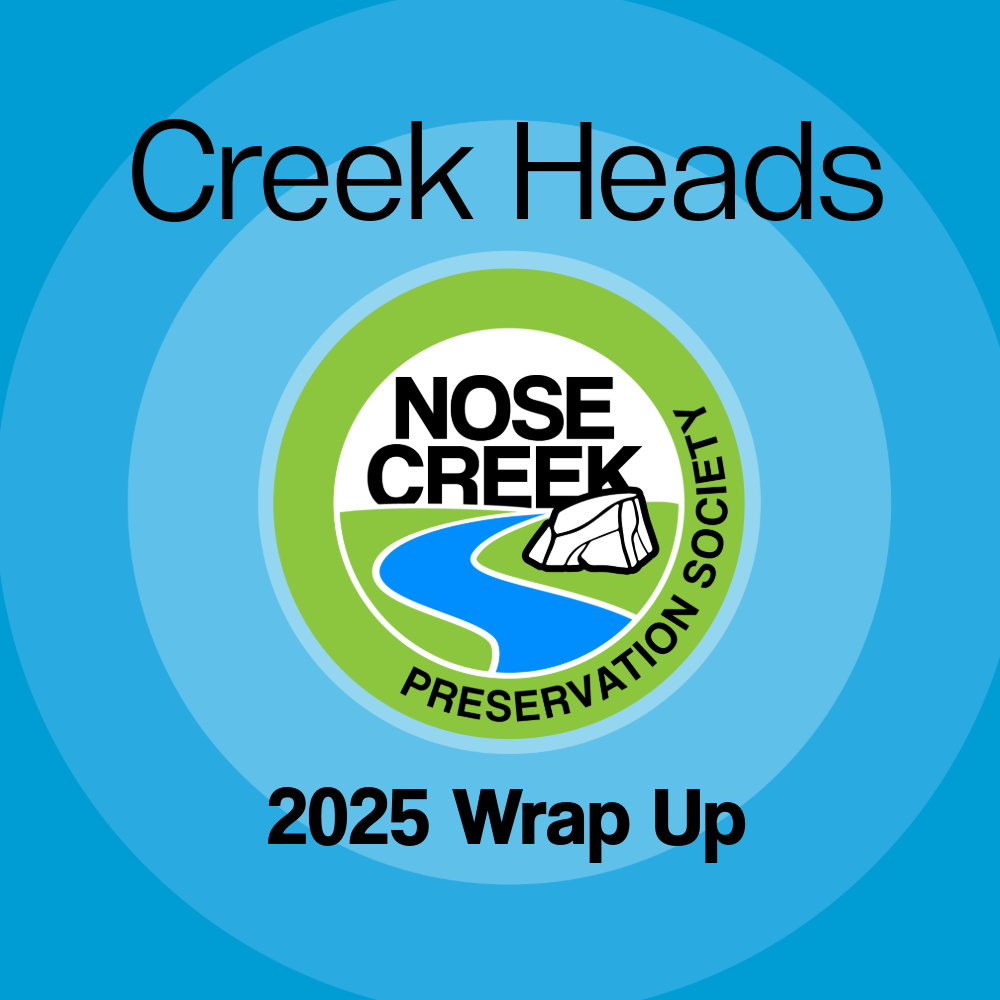 2025 Creekhead Wrap Up