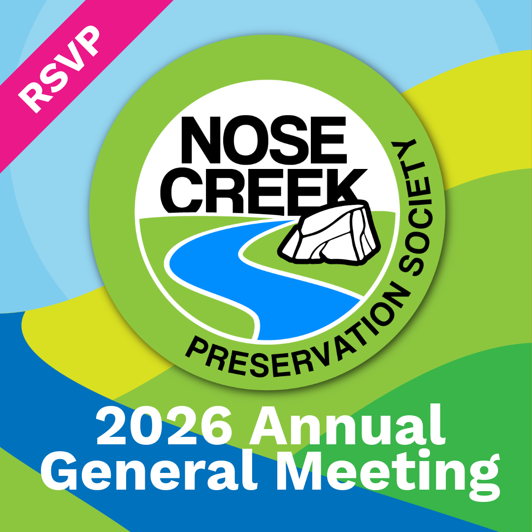 2026 Annual General Meeting