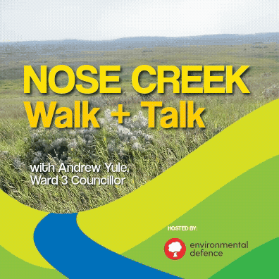 Nose Creek Walk and Talk