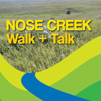 Nose Creek Walk and Talk 