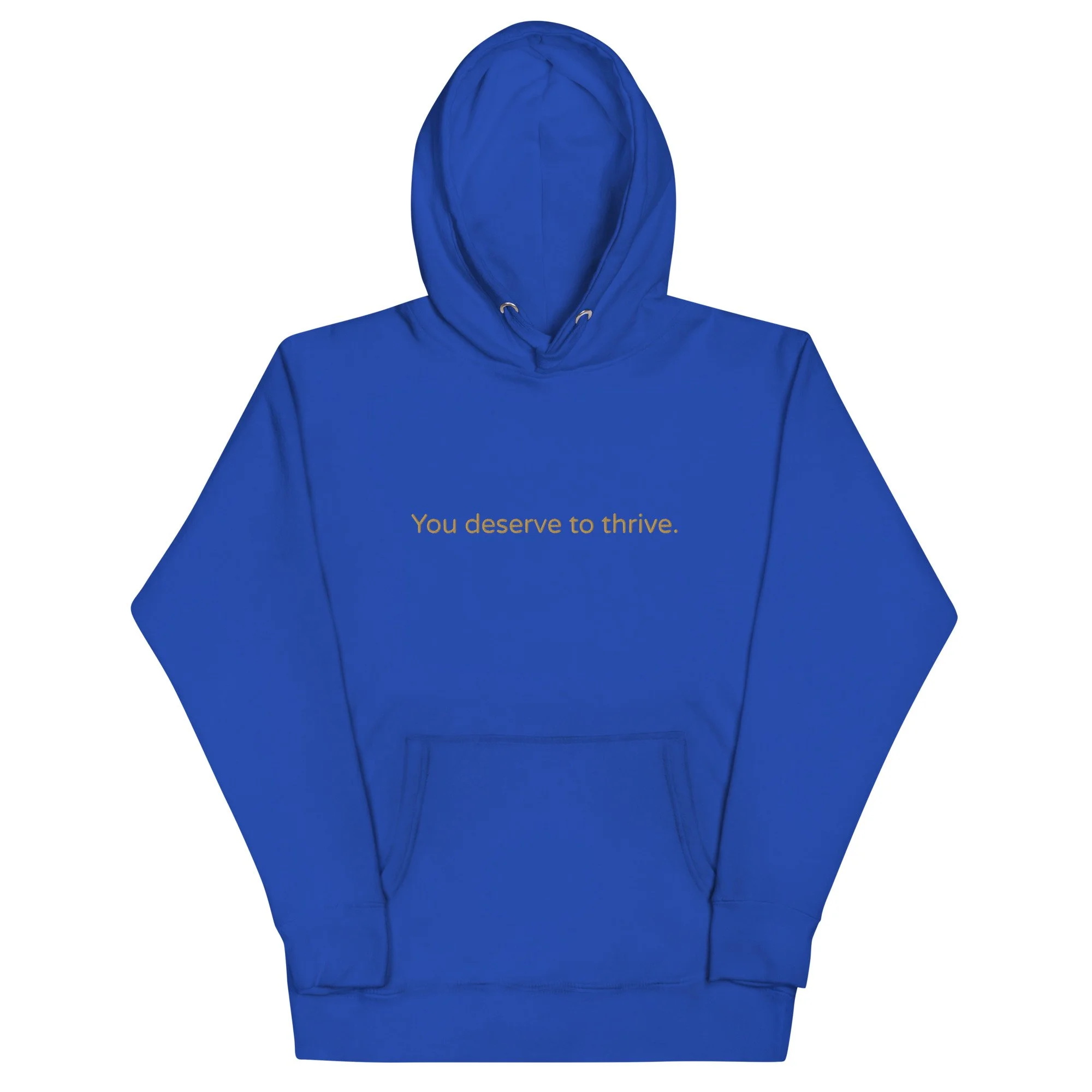 unisex-premium-pullover-hoodie-team-royal-front-6a3f7dd98586f.jpg