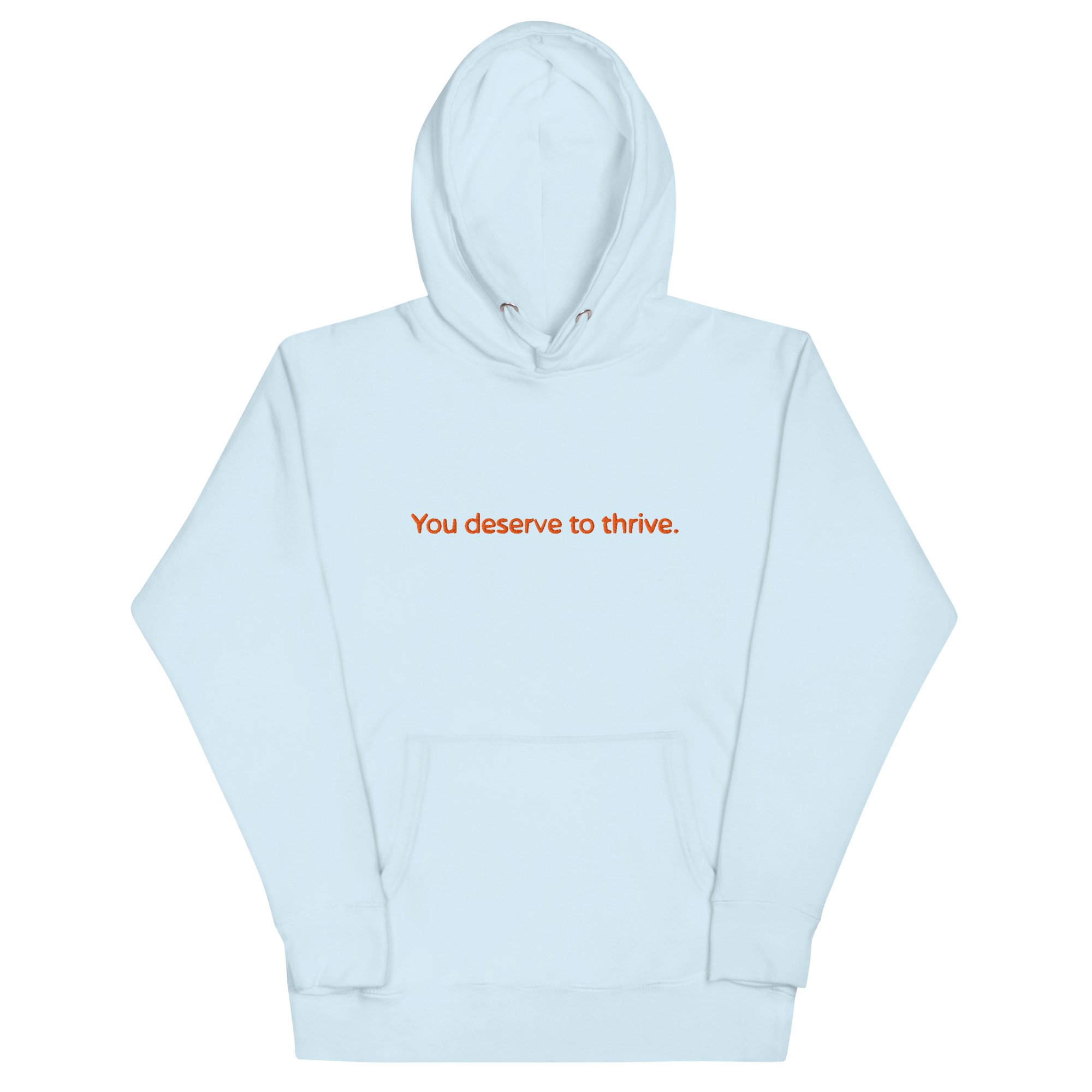 unisex-premium-pullover-hoodie-sky-blue-front-6a4598d5bcbe0.jpg