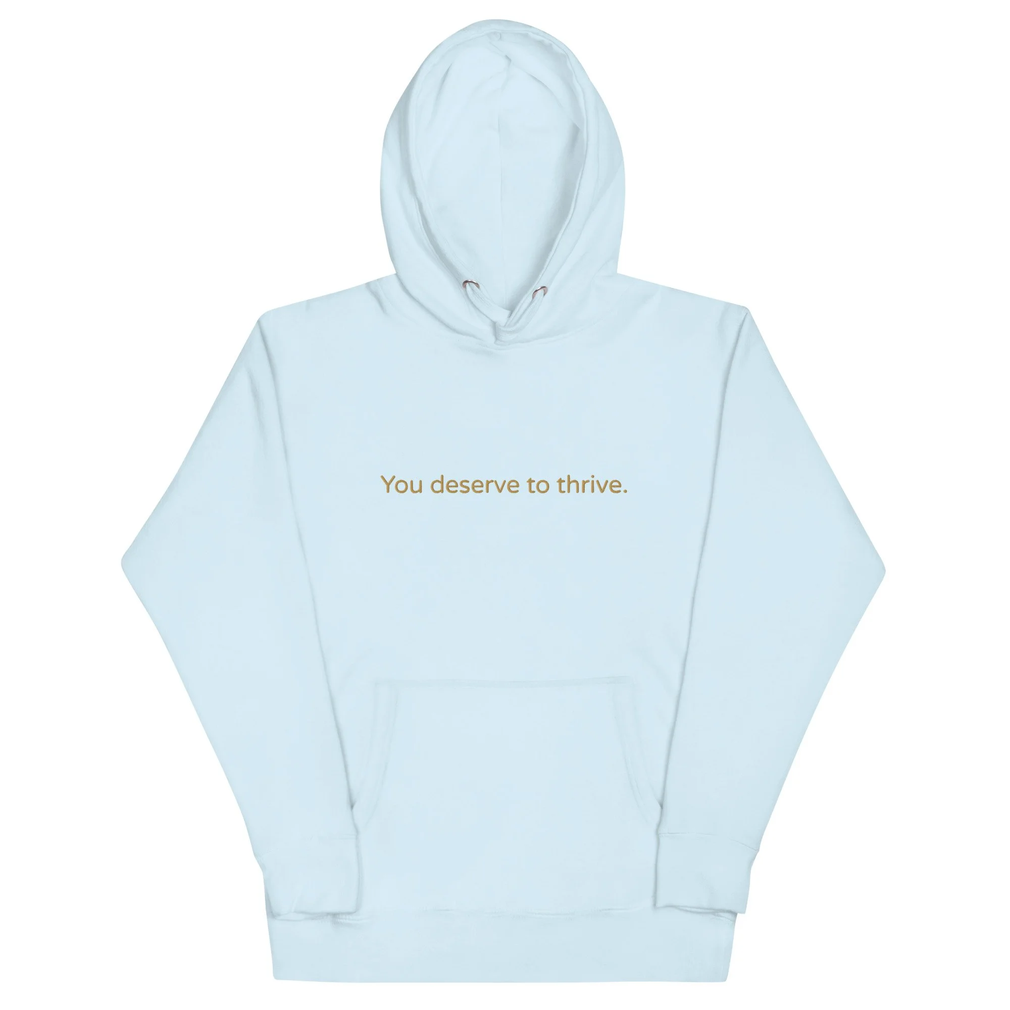 unisex-premium-pullover-hoodie-sky-blue-front-6a59129a5590a.jpg