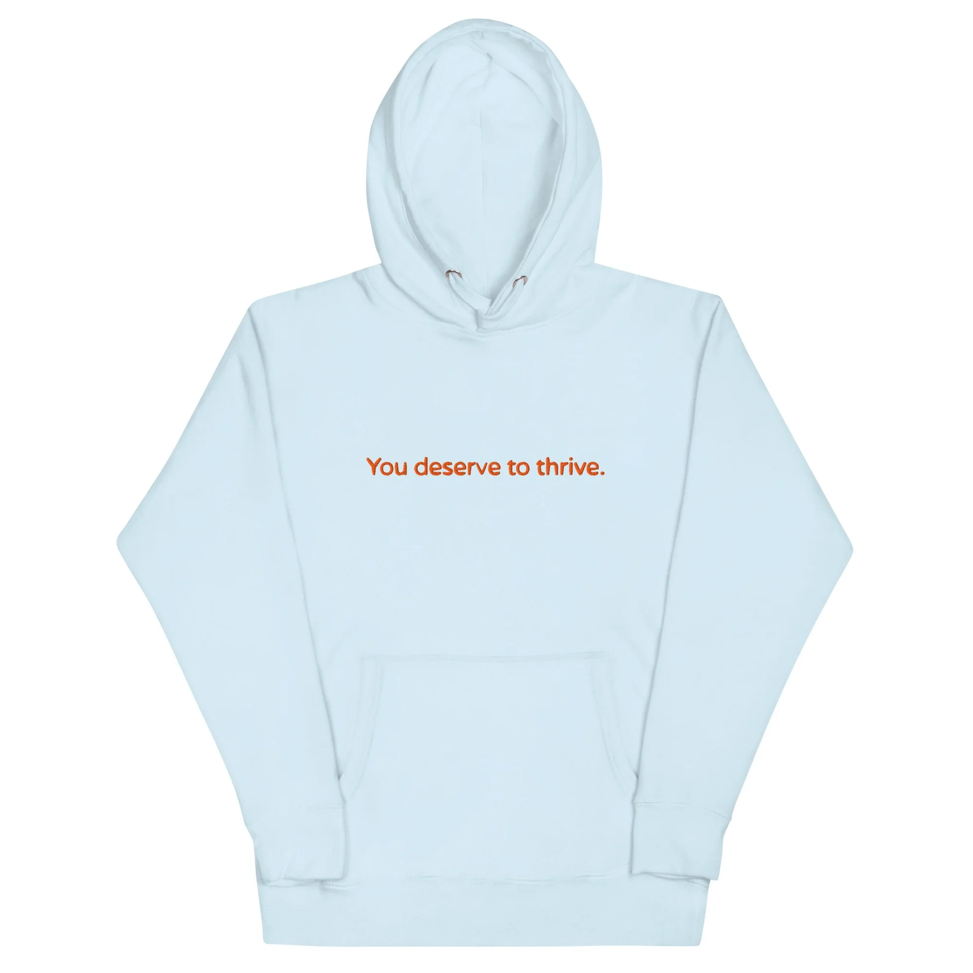 unisex-premium-pullover-hoodie-sky-blue-front-6a5917808fd89.jpg
