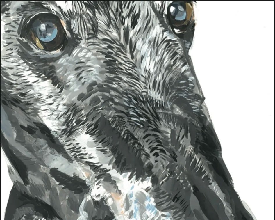 Multispecies Legality