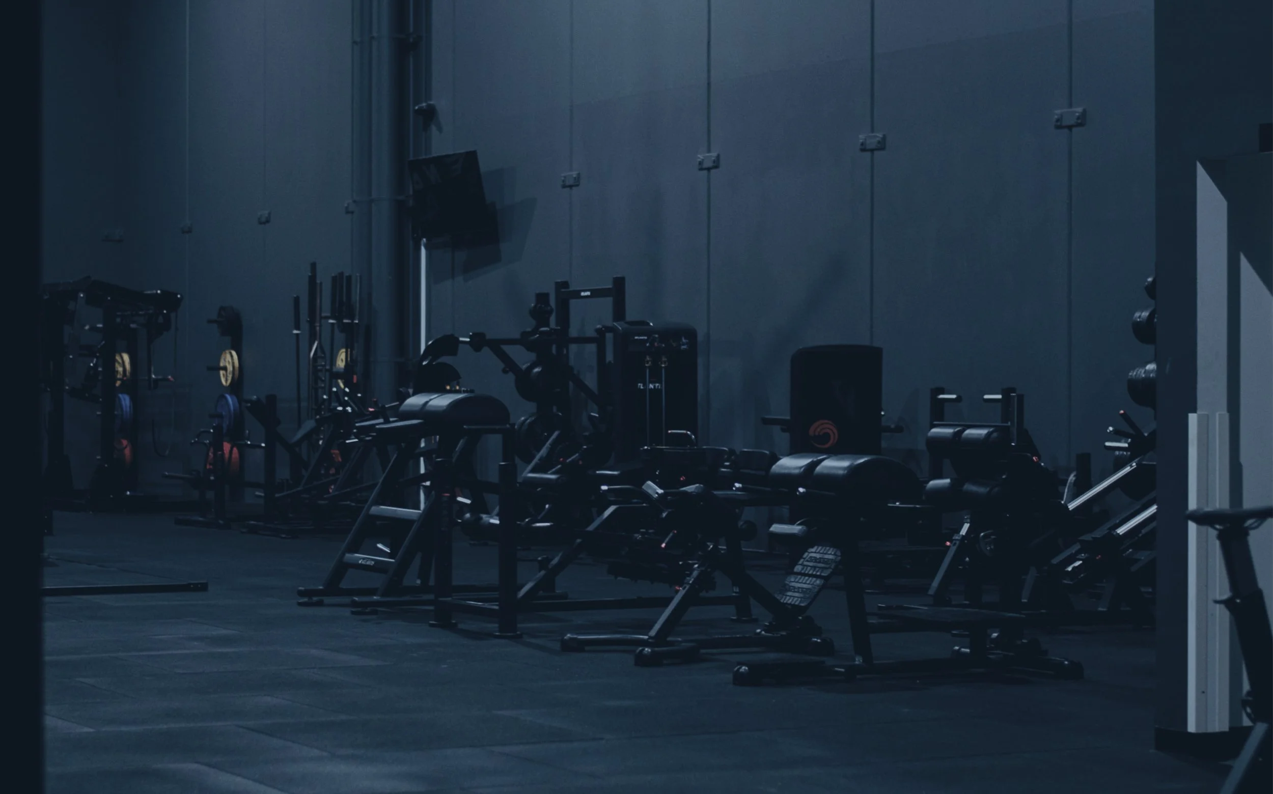 Facilities-strength-tribe-0.jpg