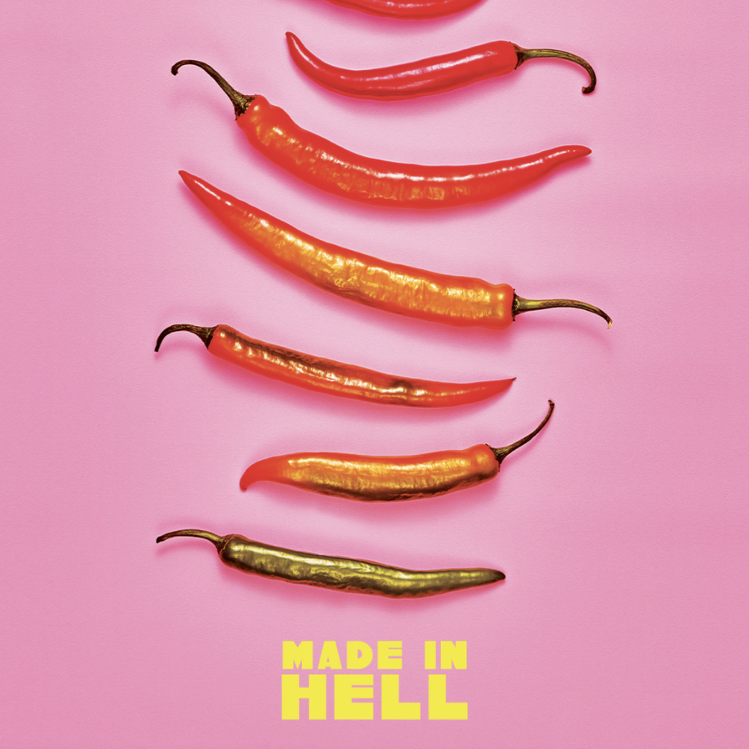 Screen Shot 2022-09-04 at 4.39.48 AM.png