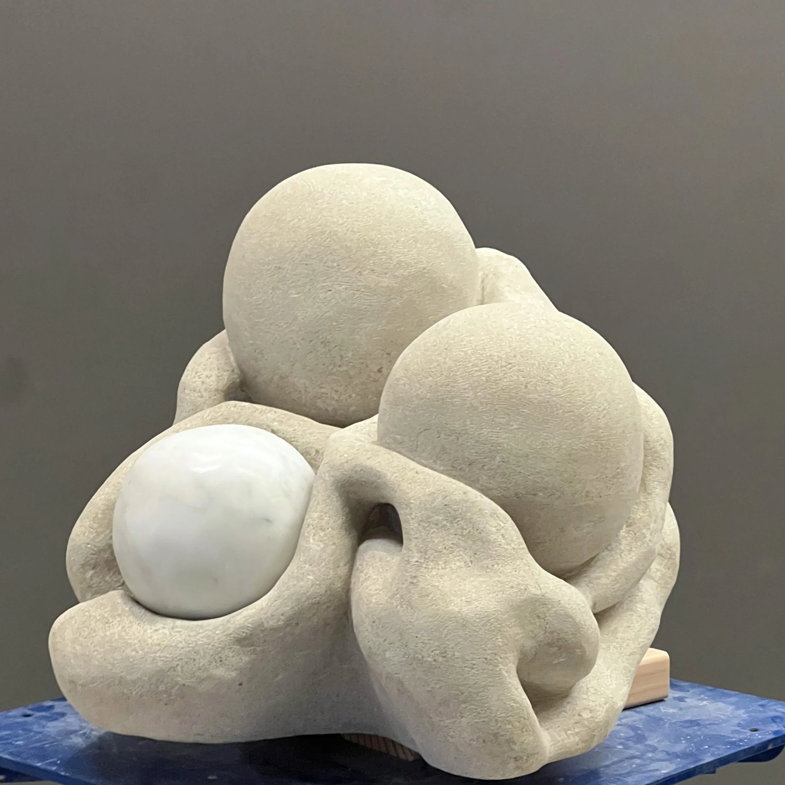 "no. 4" alt view