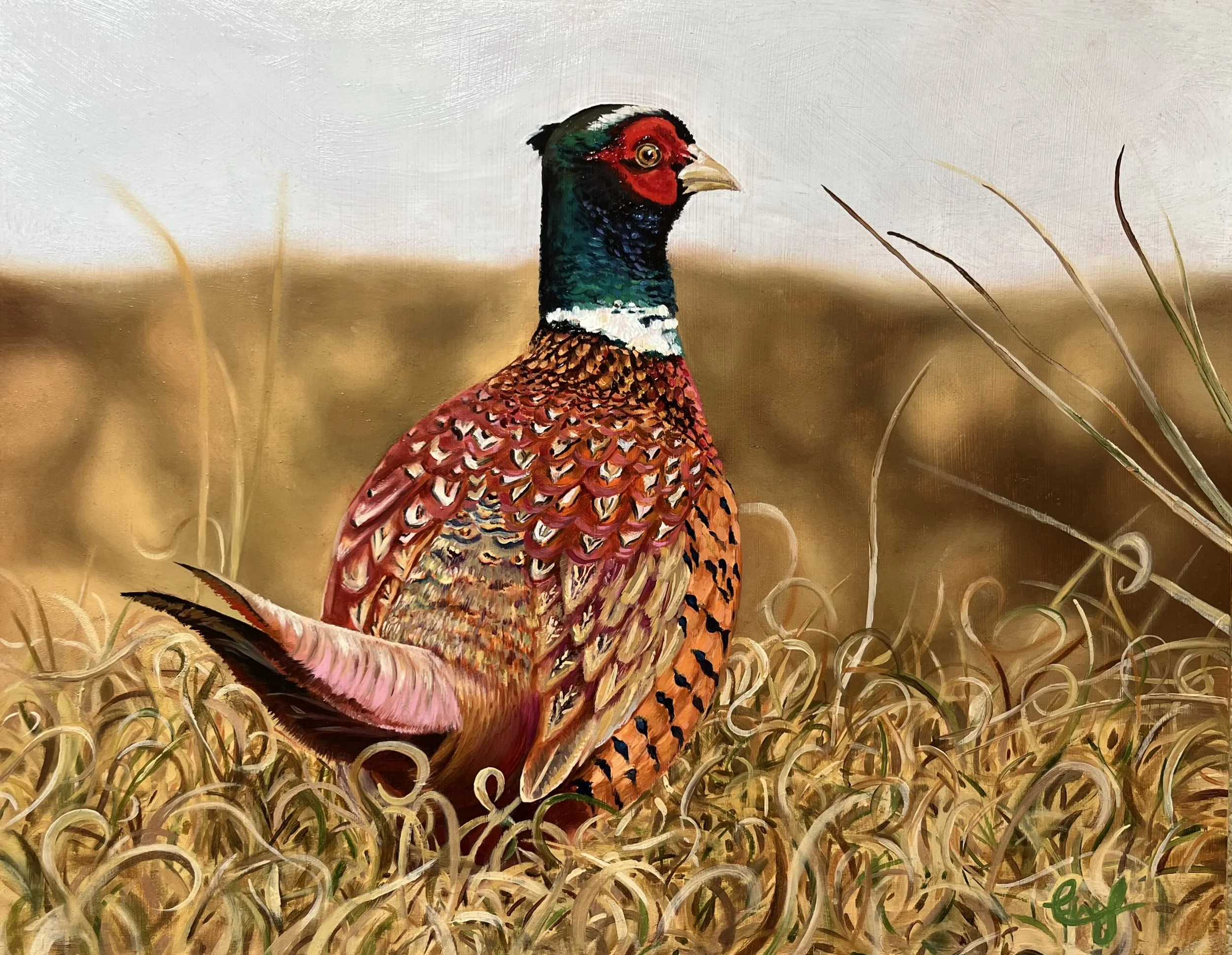 pheasant.jpg