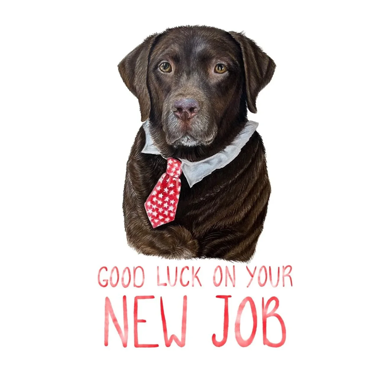 Good+luck+job+card+.jpg