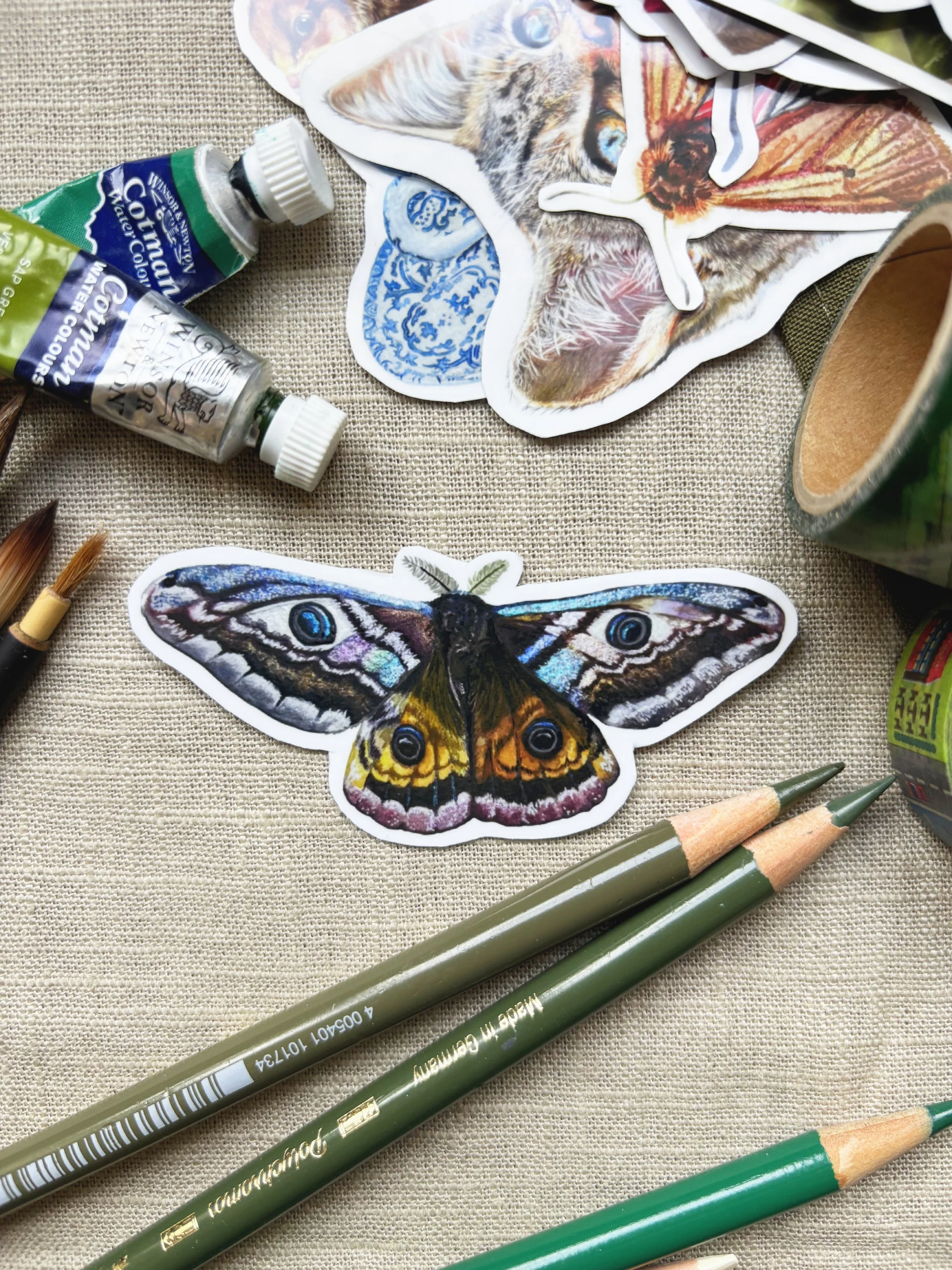 Emporer Moth.jpg