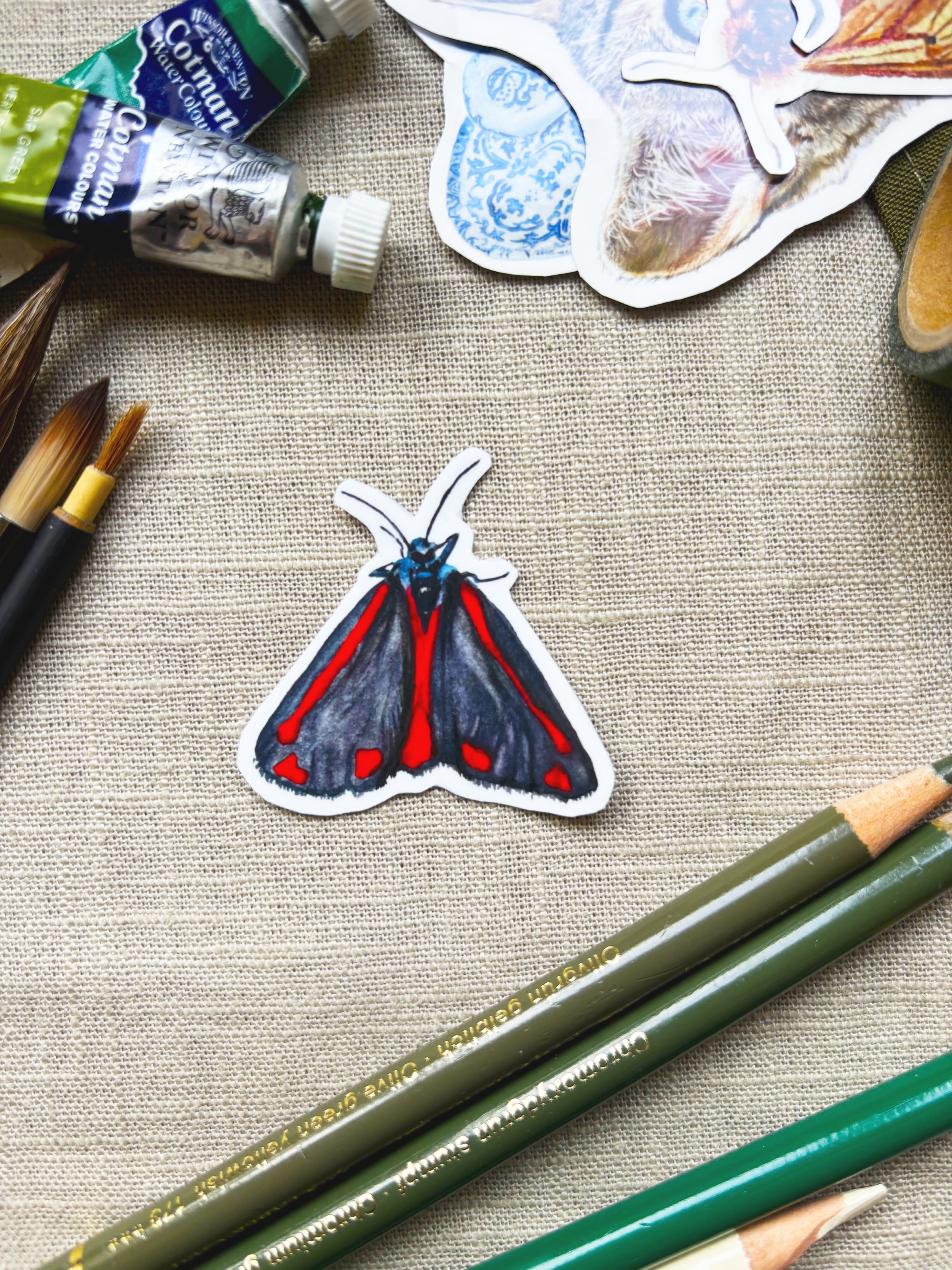 Cinnabar Moth Sticker.jpg