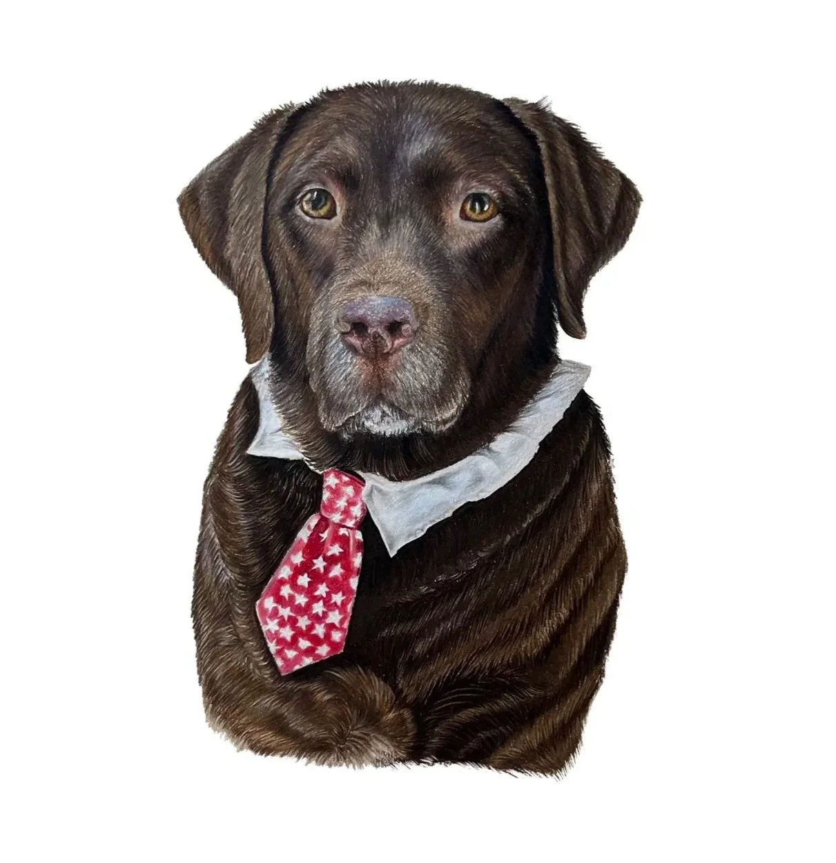 Rolo+Tie+card+.jpg