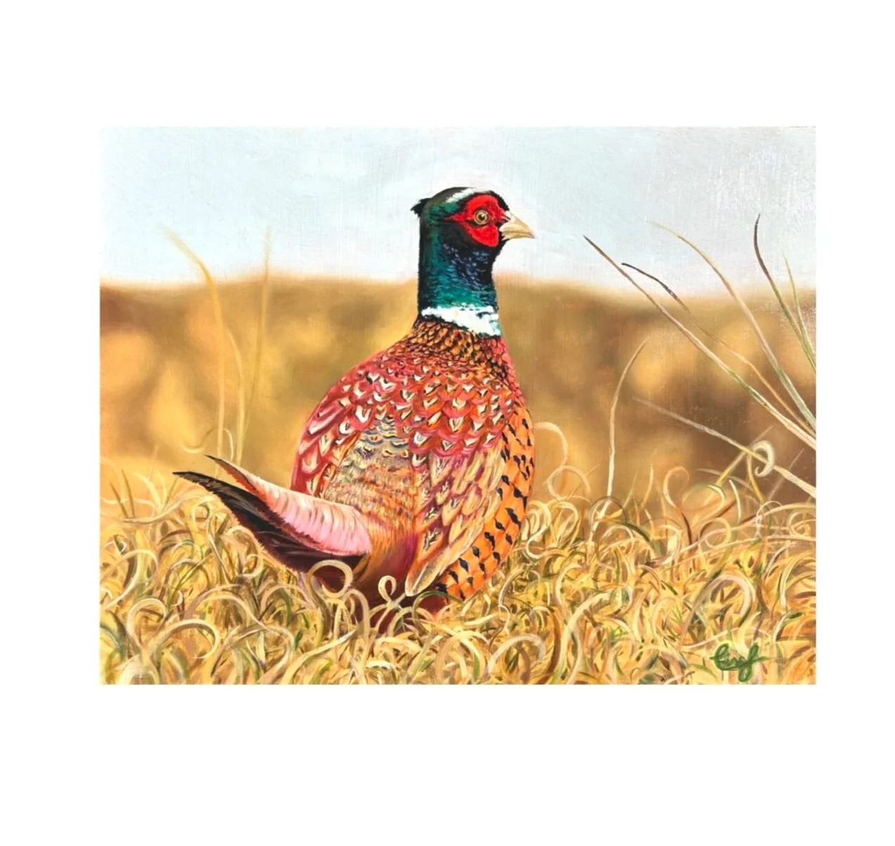 Pheasant+card+final.jpg