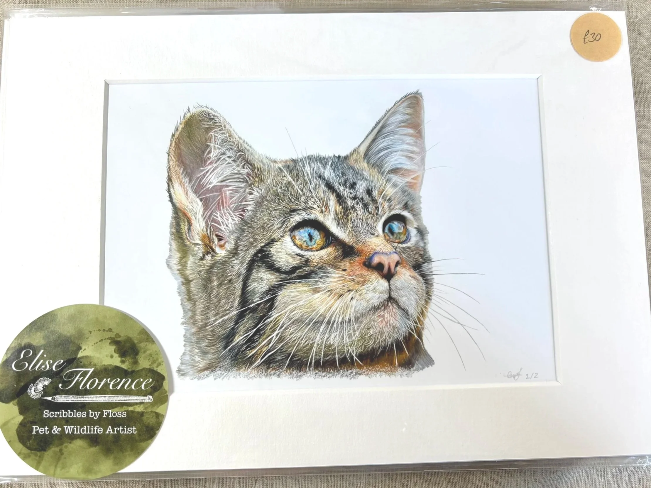 Scottish Wildcat Print