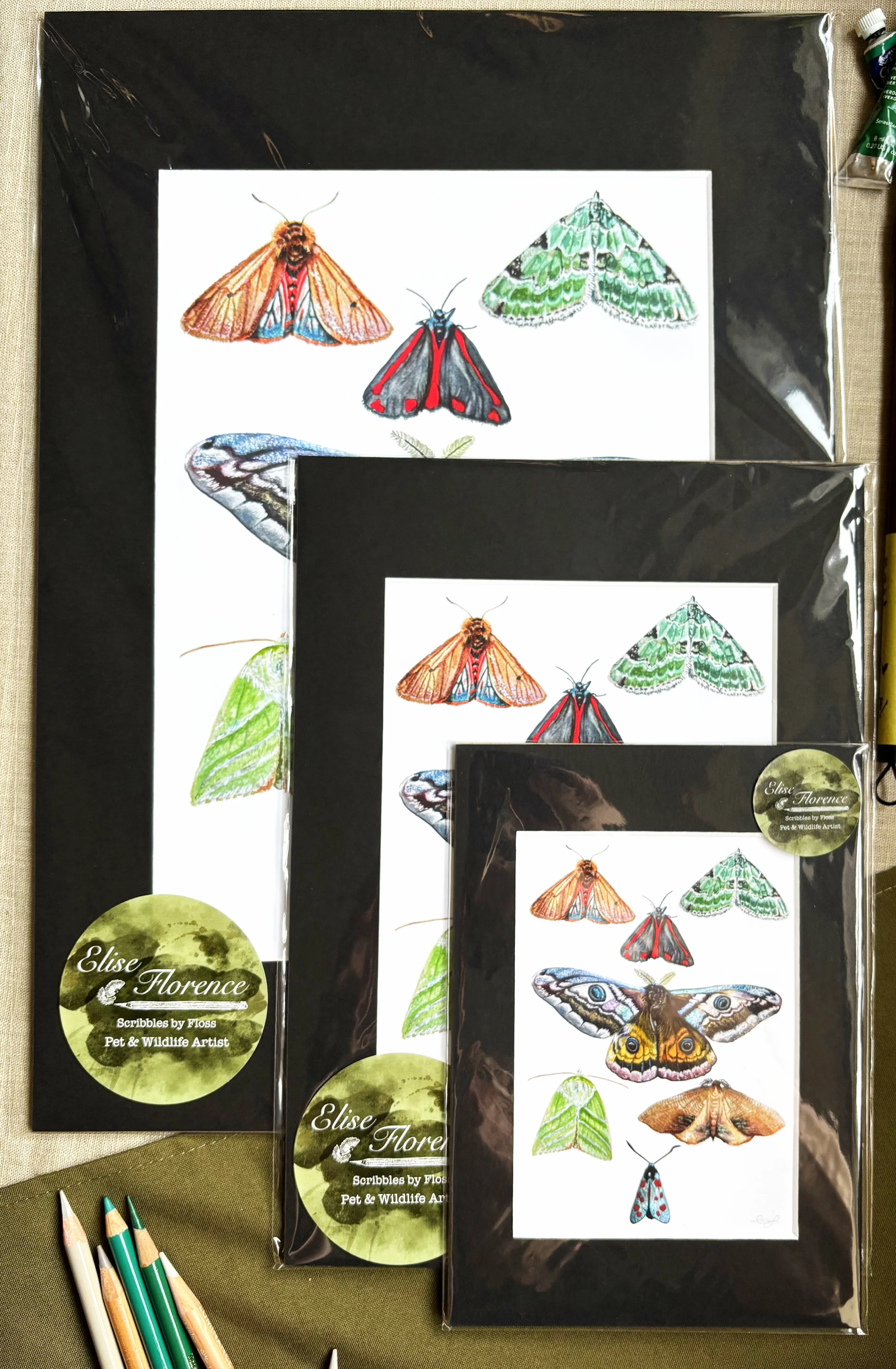Suffolk Moths Print.jpg