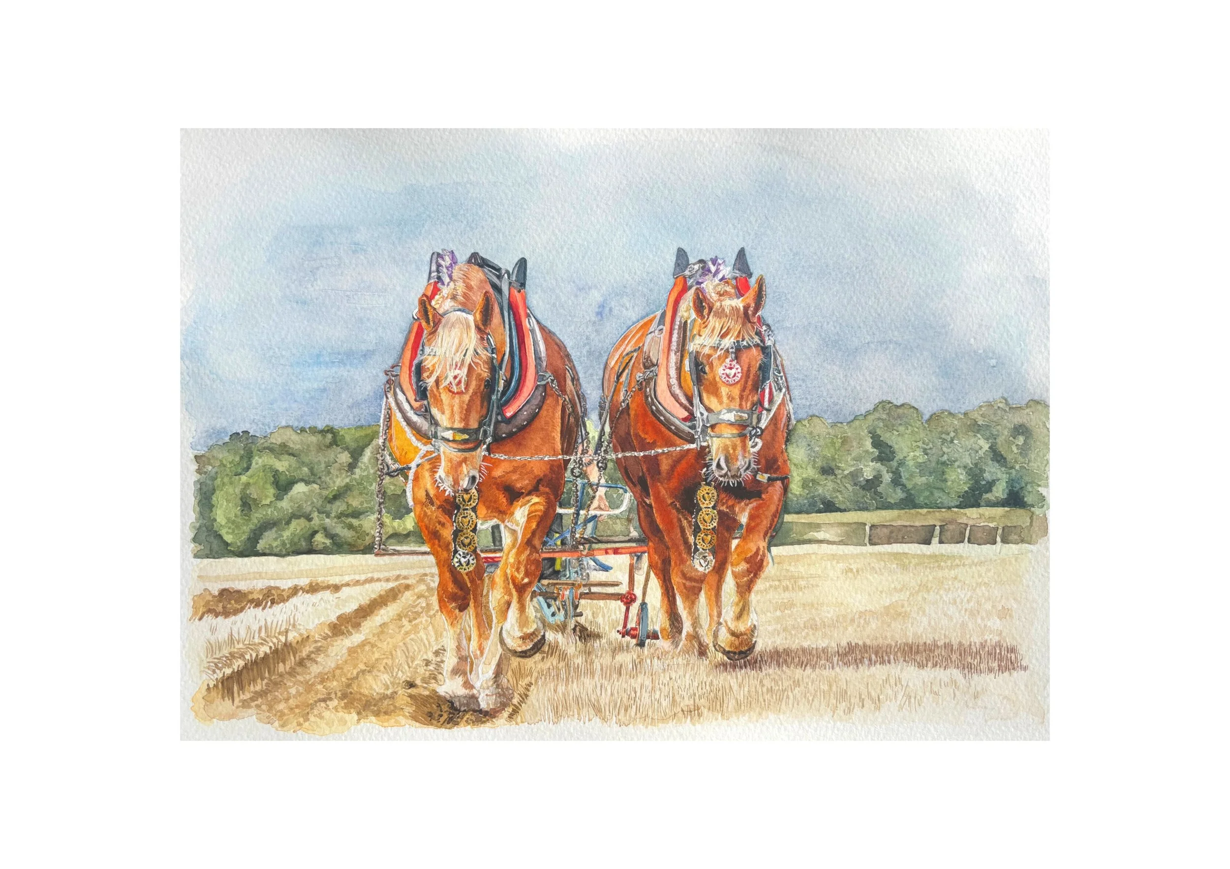 A5_art_with_A4_mount (1).jpg