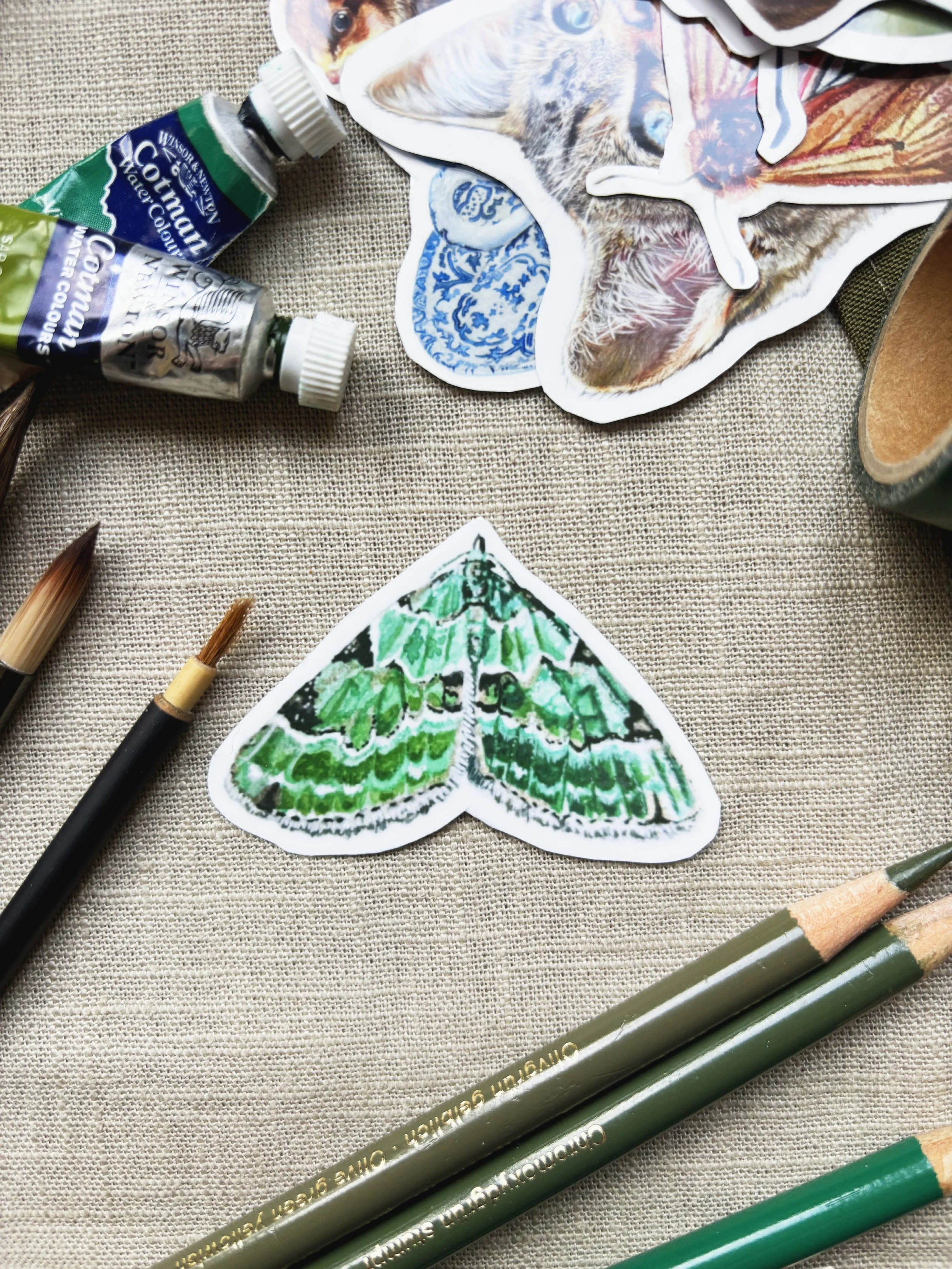 Green carpet Moth Sticker.jpg