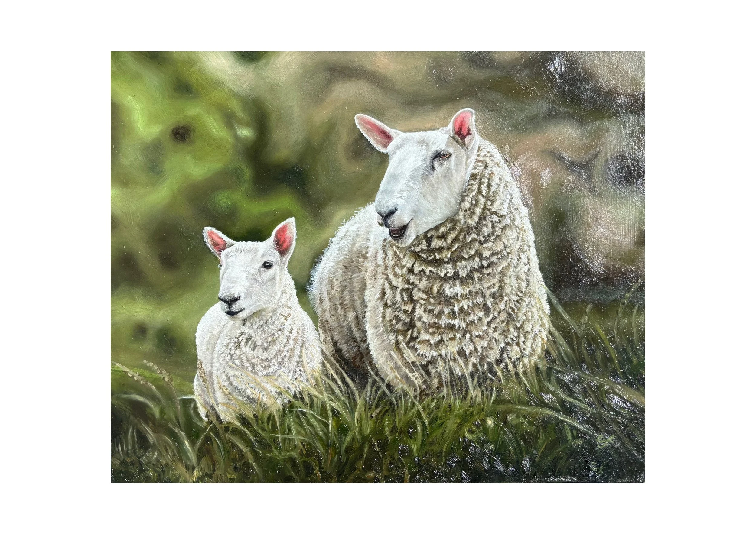 A5_art_with_A4_mount sheep 2.jpg