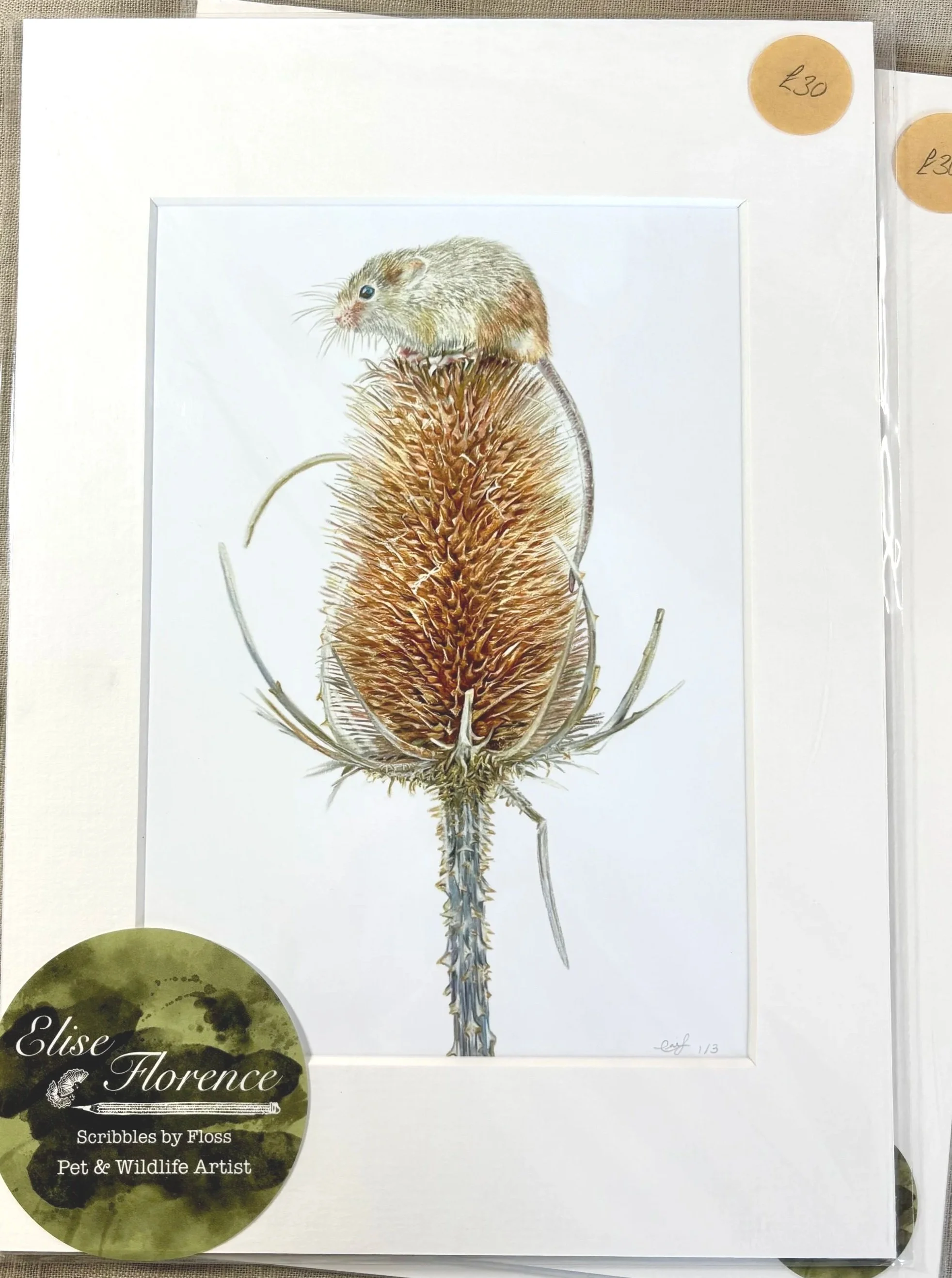 Barleycorn Print