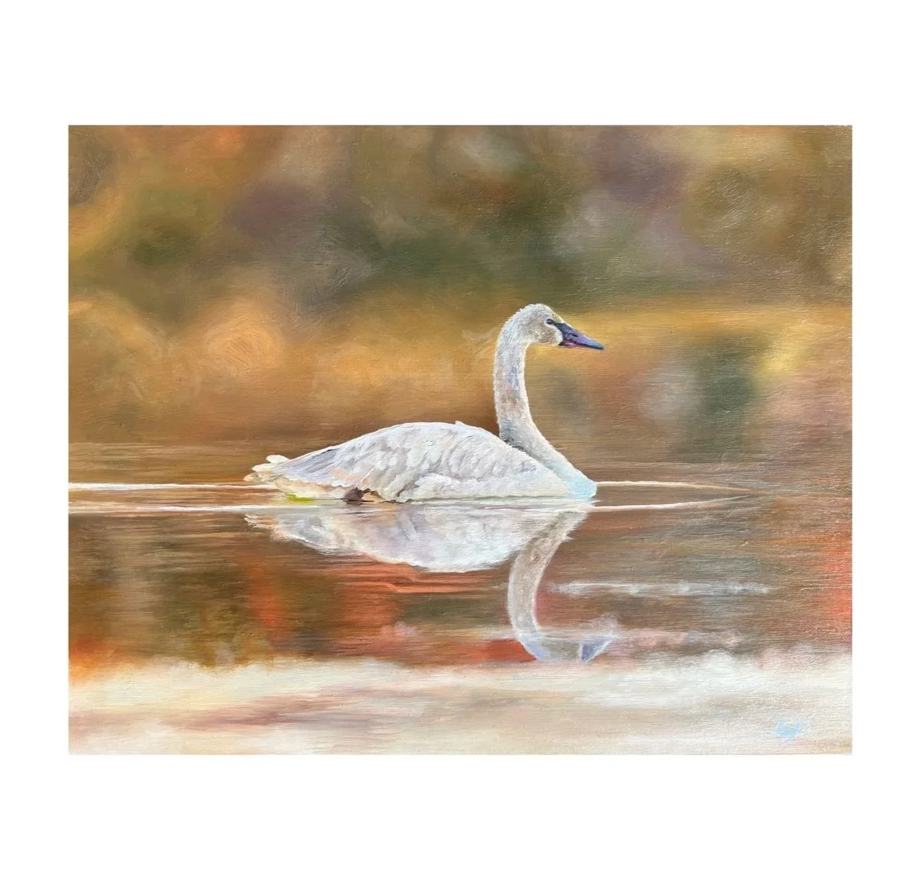 Swan+Card.jpg