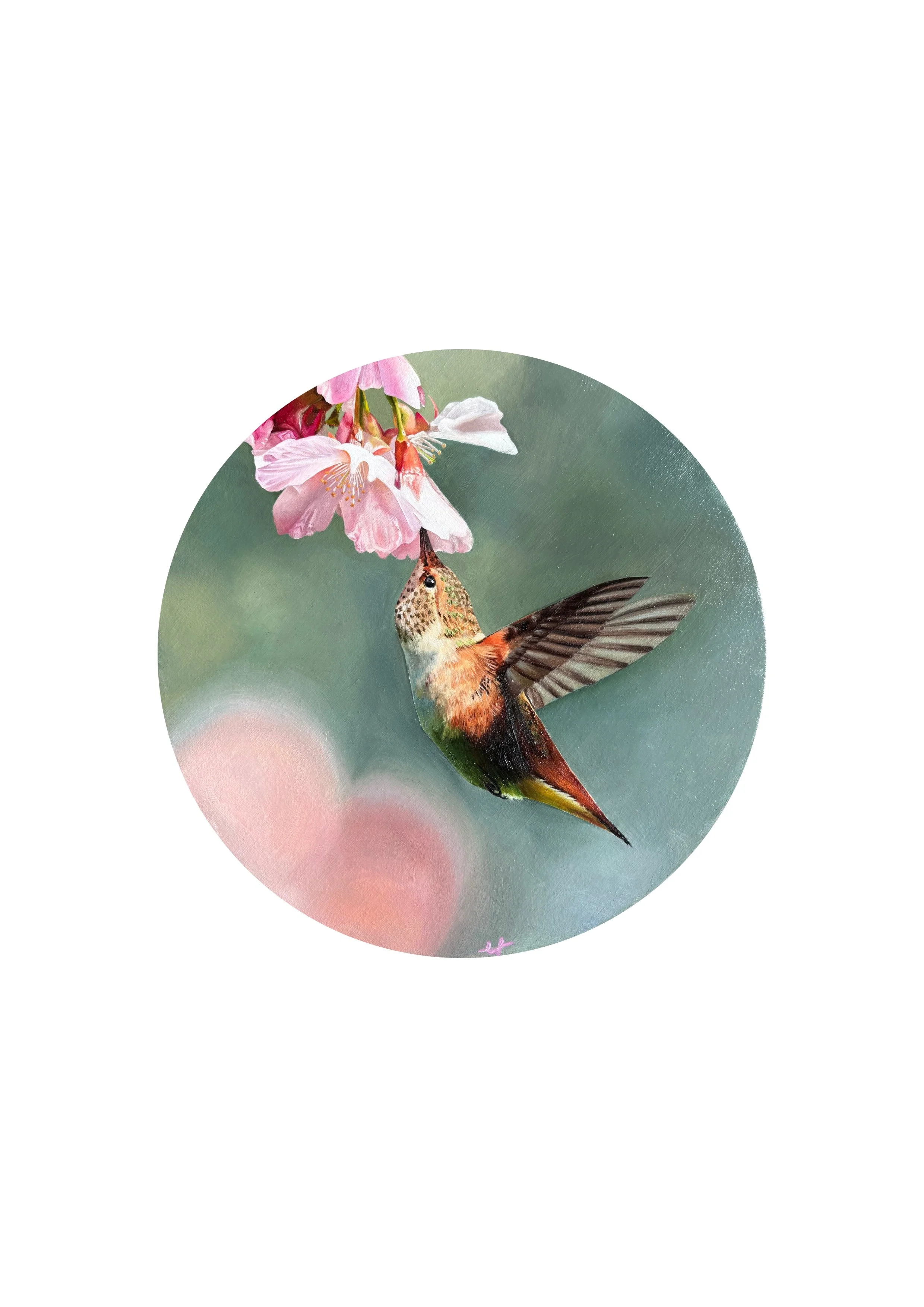 A5_art_with_A4_mount hummingbird.jpg