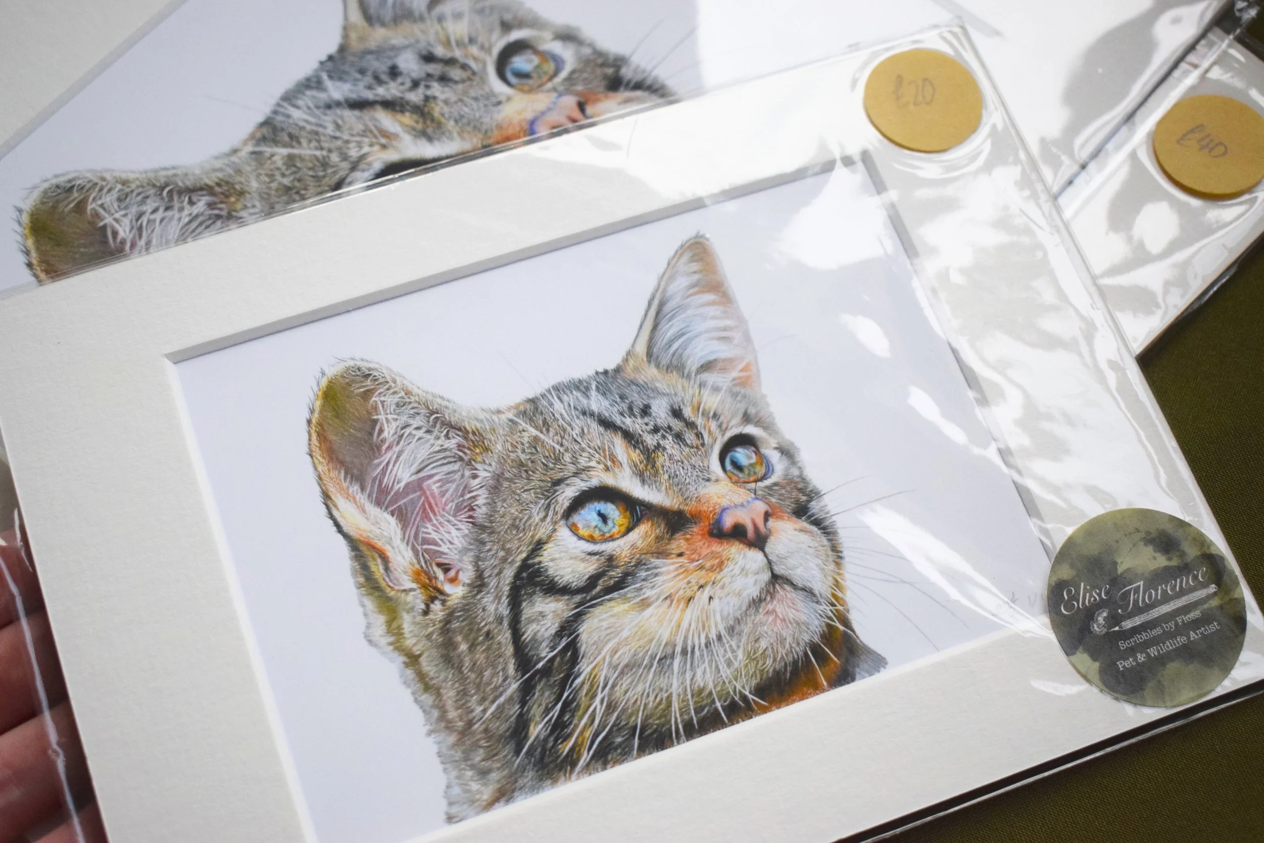 Wildcat Print.jpg