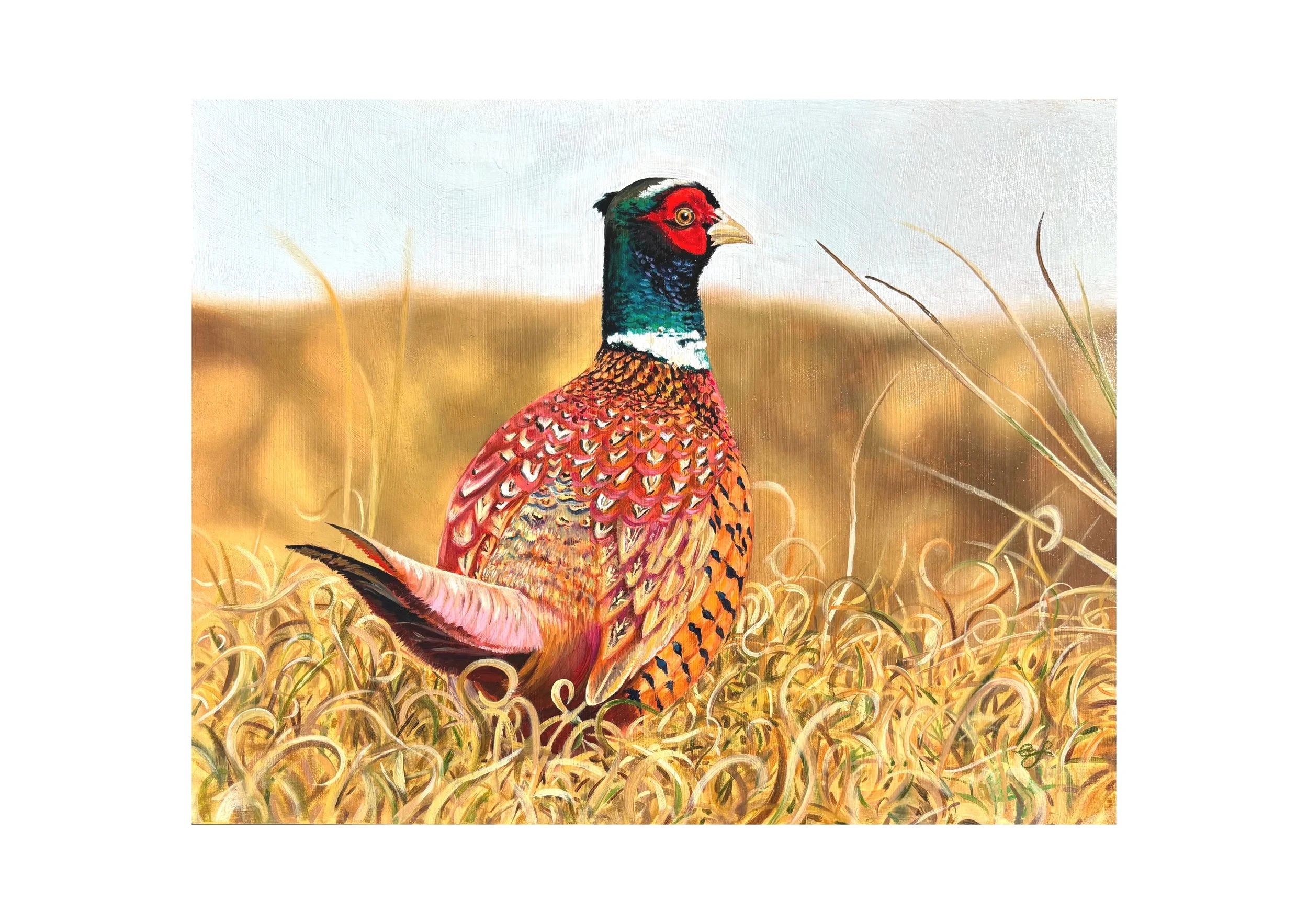 A5_art_with_A4_mount Pheasant 2.jpg