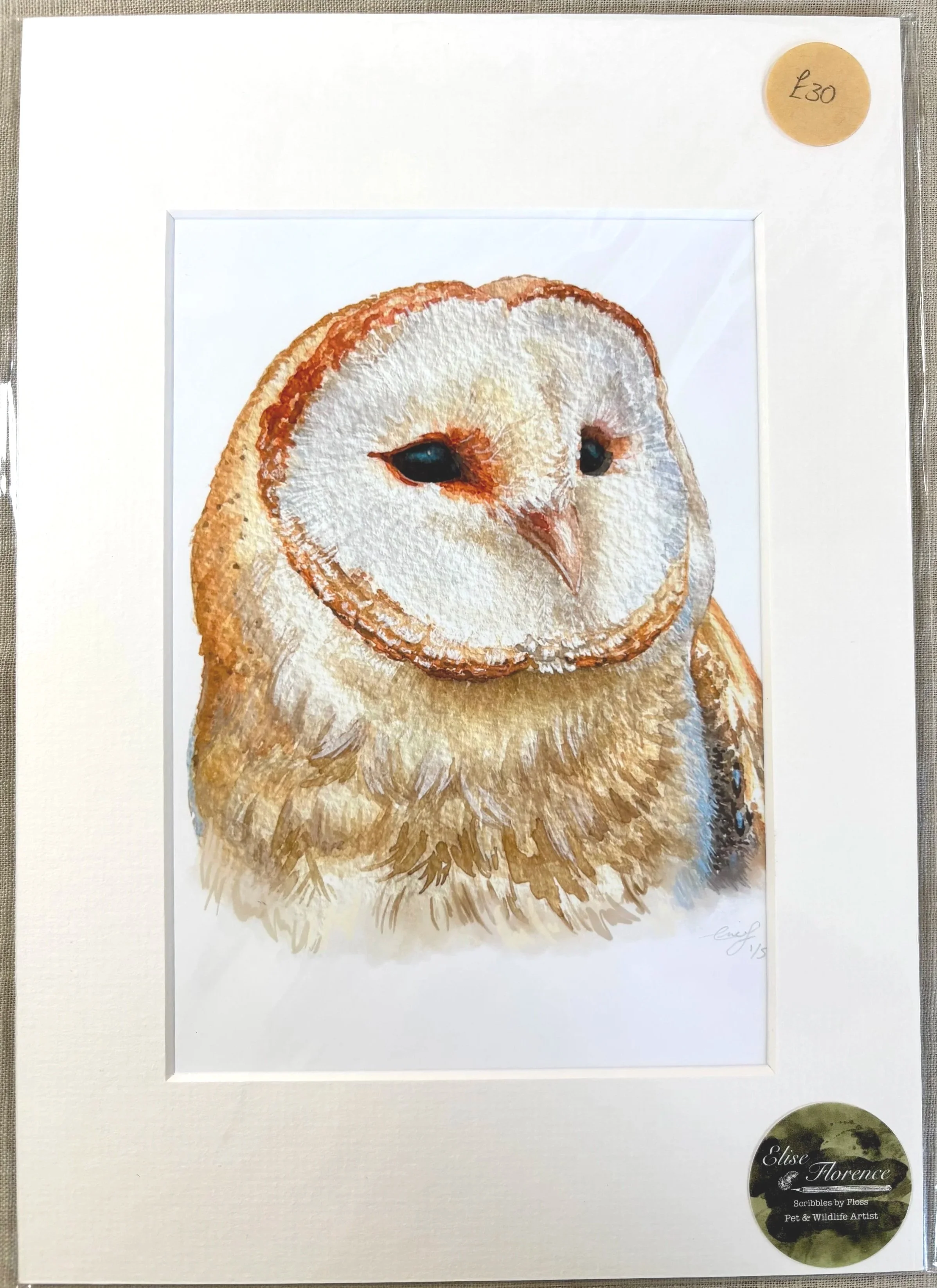 Barn Owl Print