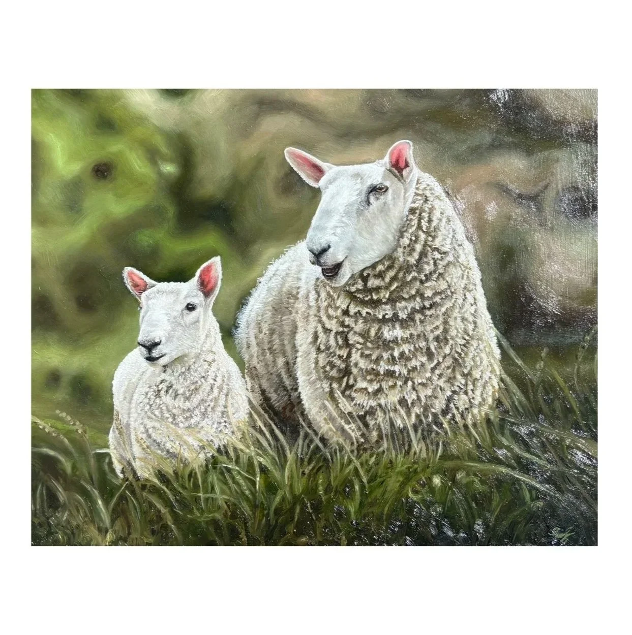 Card_template+sheep.jpg
