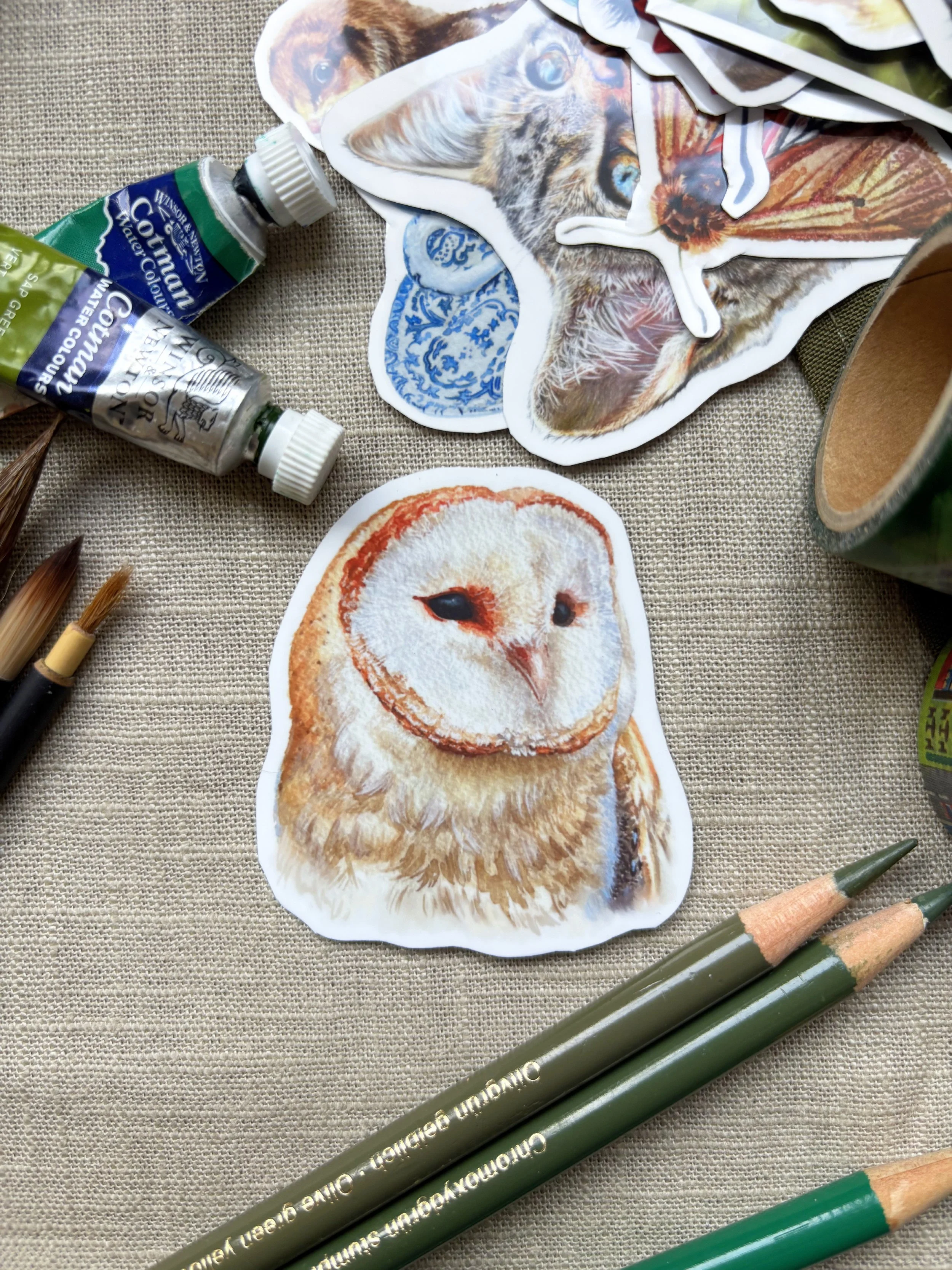 Barn Owl Sticker.jpg