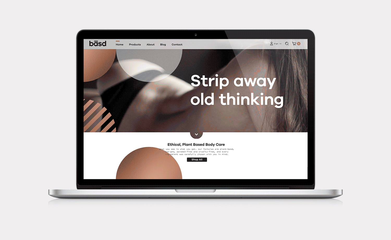 Basd_Website_Dossier-Creative.gif