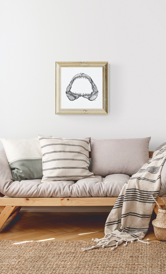 Screen Shot 2022-11-26 at 7.02.25 pm.png