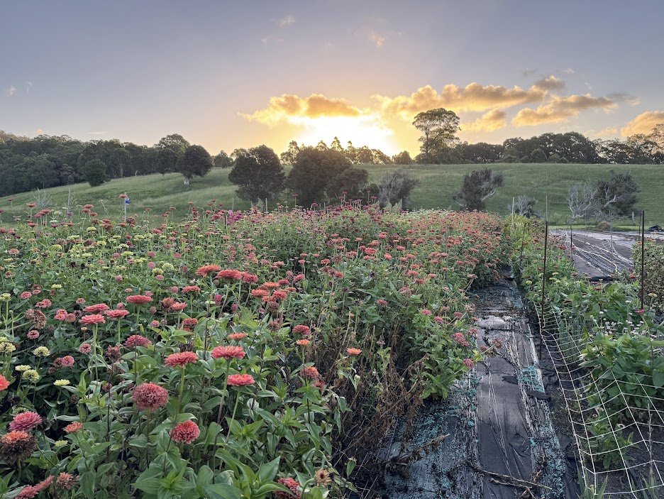 Farm7.jpg