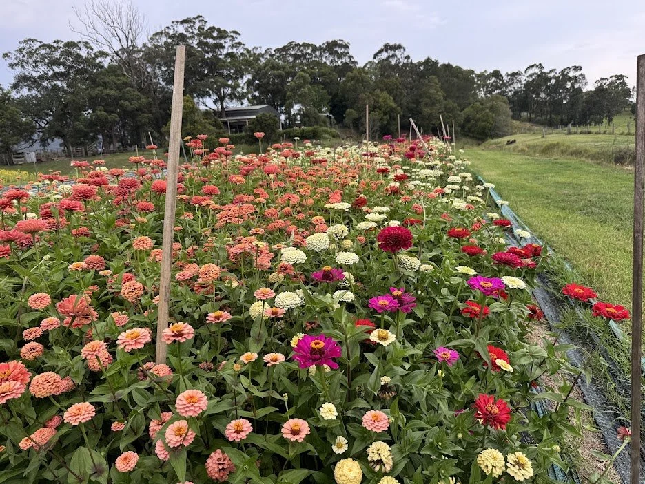 Farm9.jpg