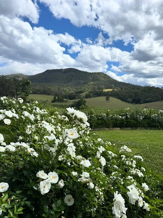 farm10.jpg