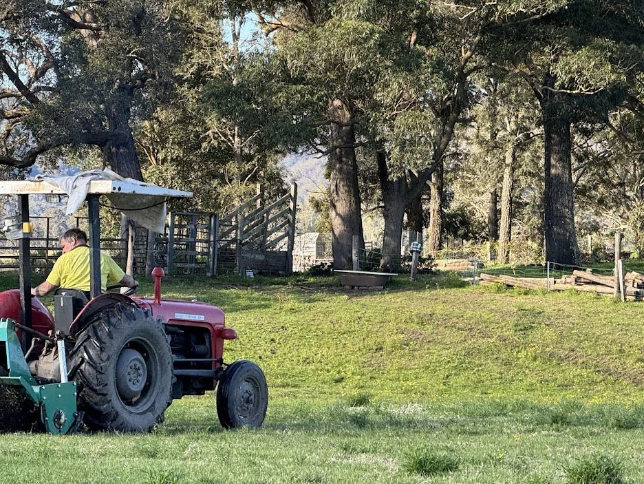 farm16.jpg